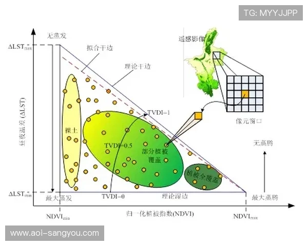 从地域角度看亚星平台的成立背景与发展路径